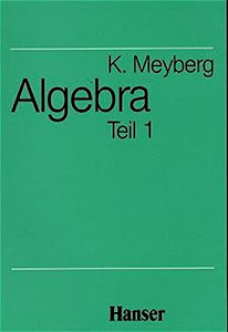 Mathematische Grundlagen für Mathematiker, Physiker und Ingenieure: Algebra, Teil 1