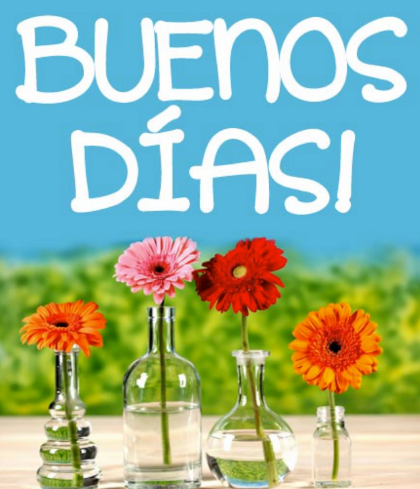 Image result for buenos dias!