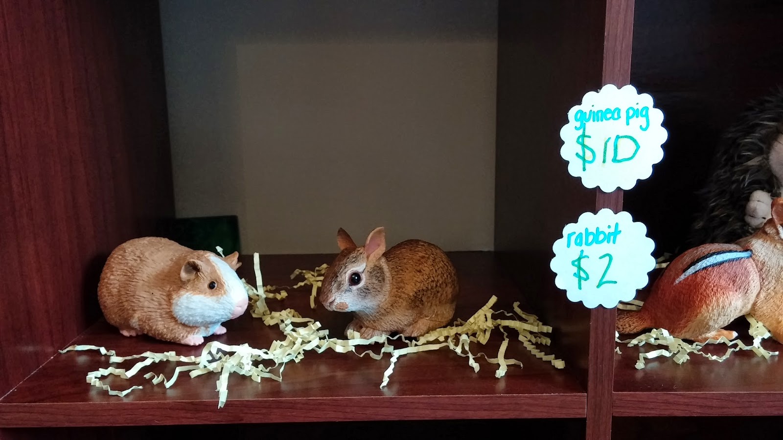 Whimsical Ways Pigeon's Pet Shop Grand Opening