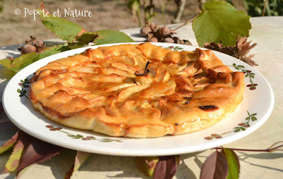 tarte ancienne aux pommes et à la crème de noisettes © Popote et Nature tarte ancienne aux pommes et à la crème de noisettes