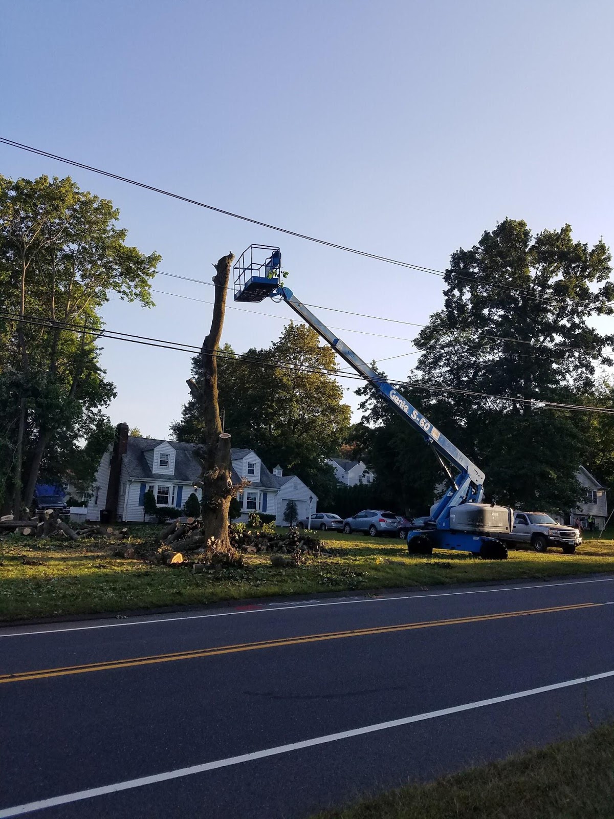 MEC&F Expert Engineers Two tree cutters were seriously injured when