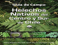 Guiá de campo - Helechos nativos del centro y sur de chile | CORMA helechos-nativos-del-centro-y-sur-de-chile