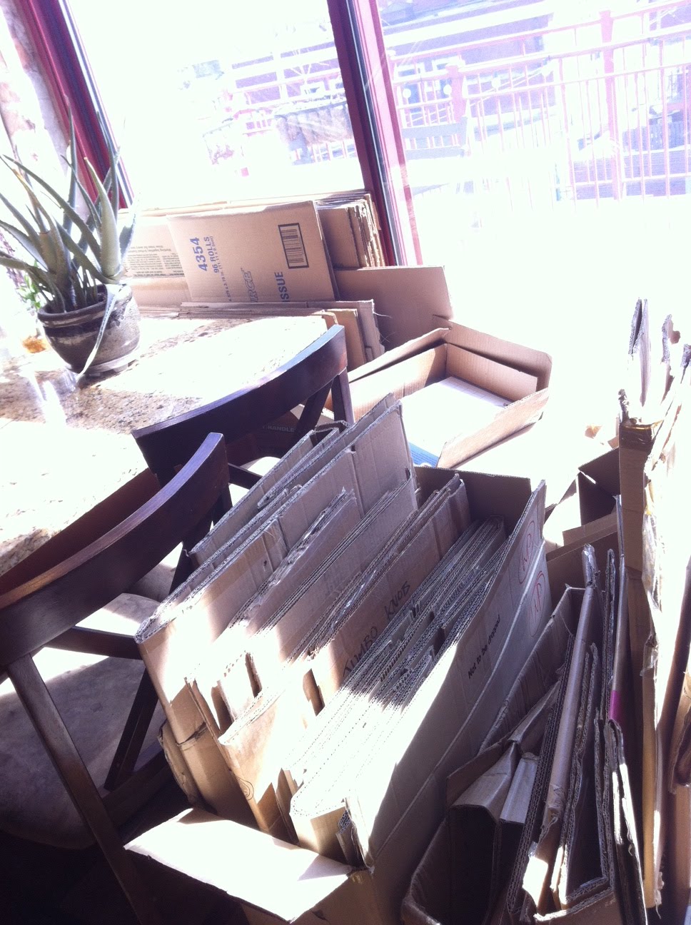 WIDNEY WOMAN: Box Pick Up