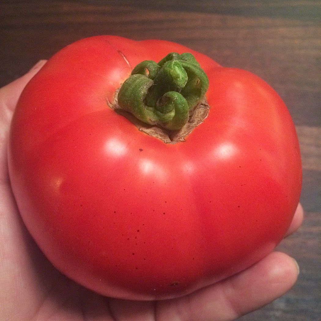 a perfect tomato