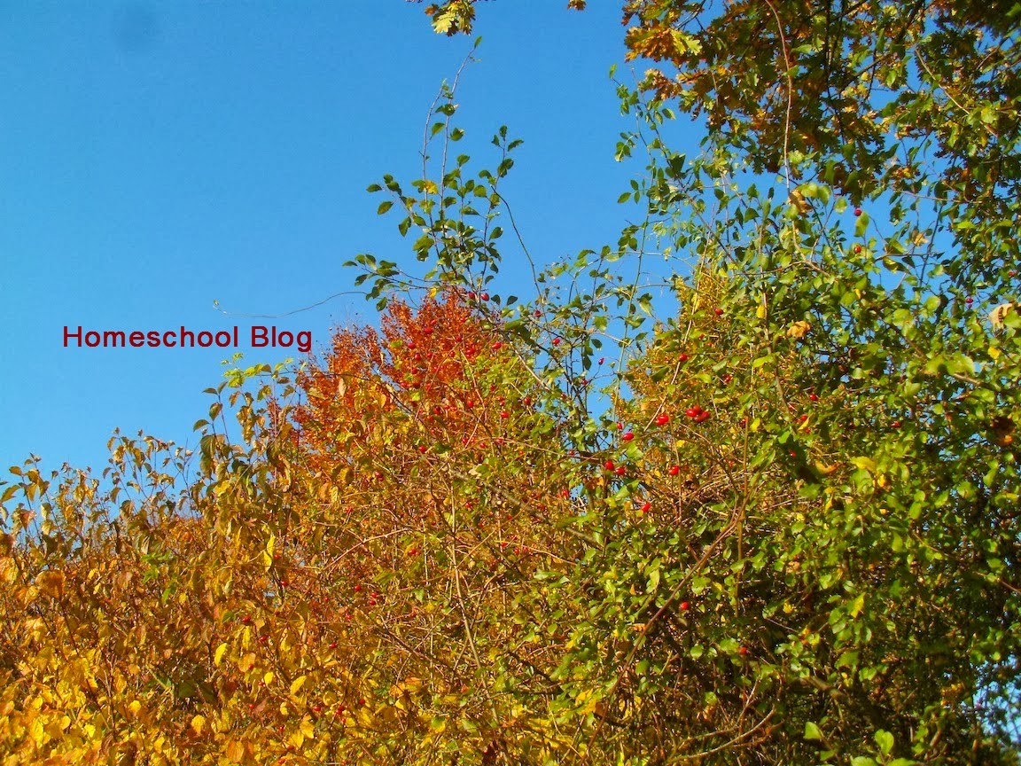 Herbst, Autumn, Homeschool Blog, Bernice und Jan Zieba Herbst, Autumn, Homeschool Blog, Bernice und Jan Zieba