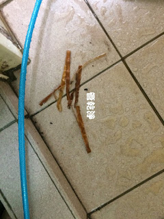 洗水管