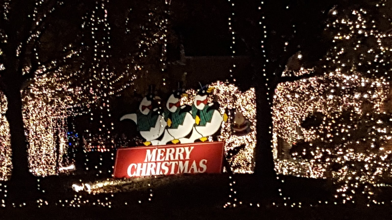 home on your right on carnation another chevy chase christmas house wow what an electric bill - Arlington Christmas Lights home on your right on carnation another chevy chase christmas house wow what an electric bill - Arlington Christmas Lights