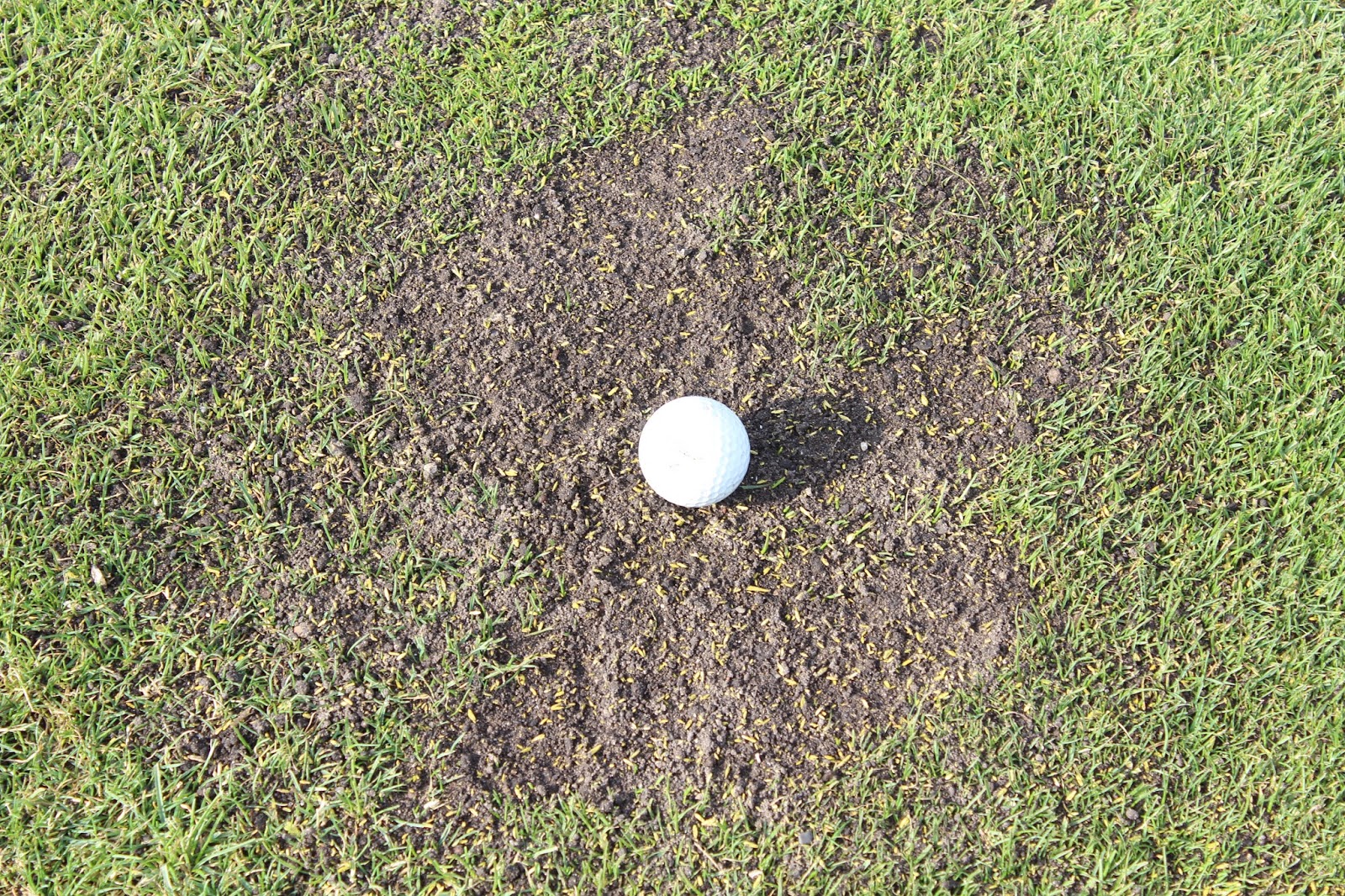 Northmoor Country Club Golf Course Operations Driving Range Practice