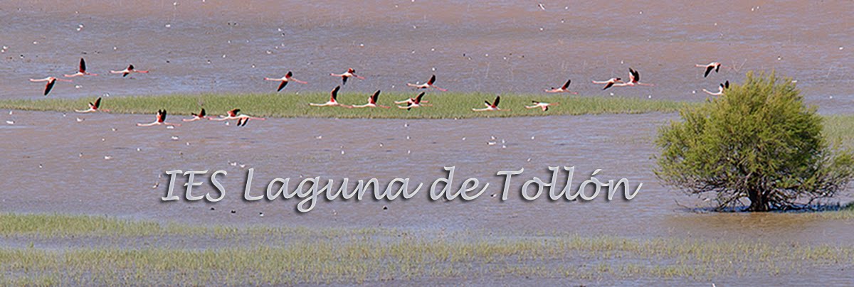 Blog del IES Laguna de Tollón