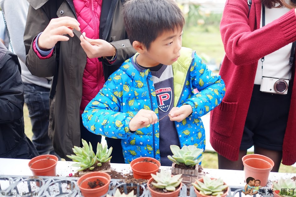 多肉植物體驗