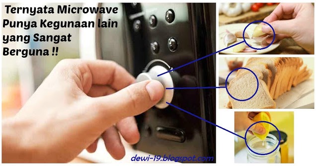 daftar harga alat masak microwave