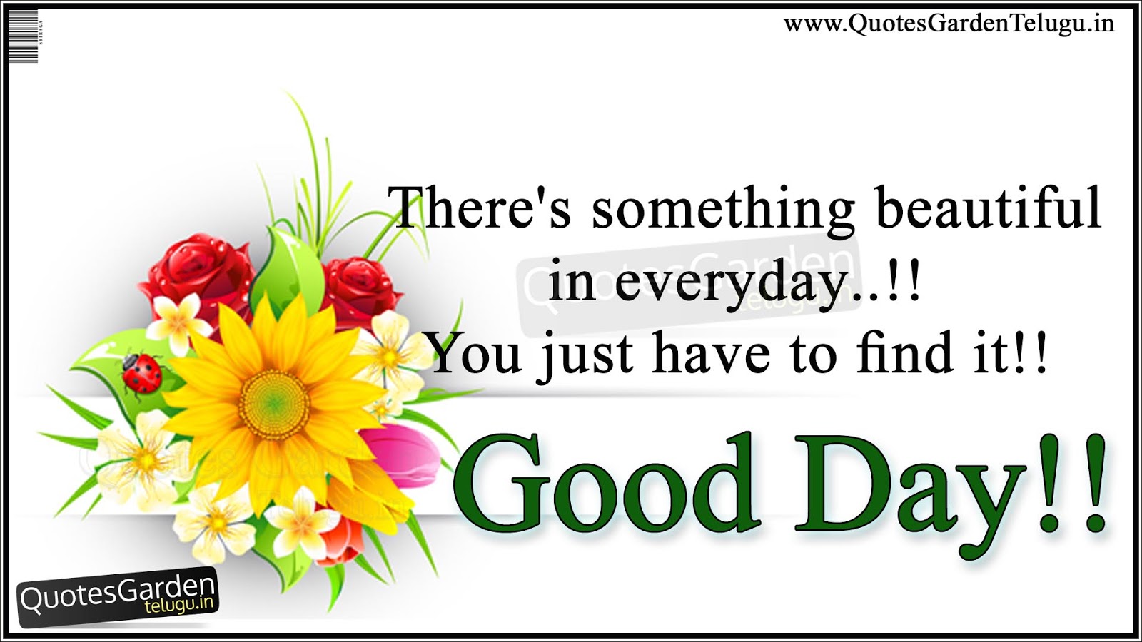 Latest Good day messages with beautiful wallpapers ...