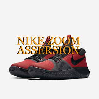 nike zoom assersion review