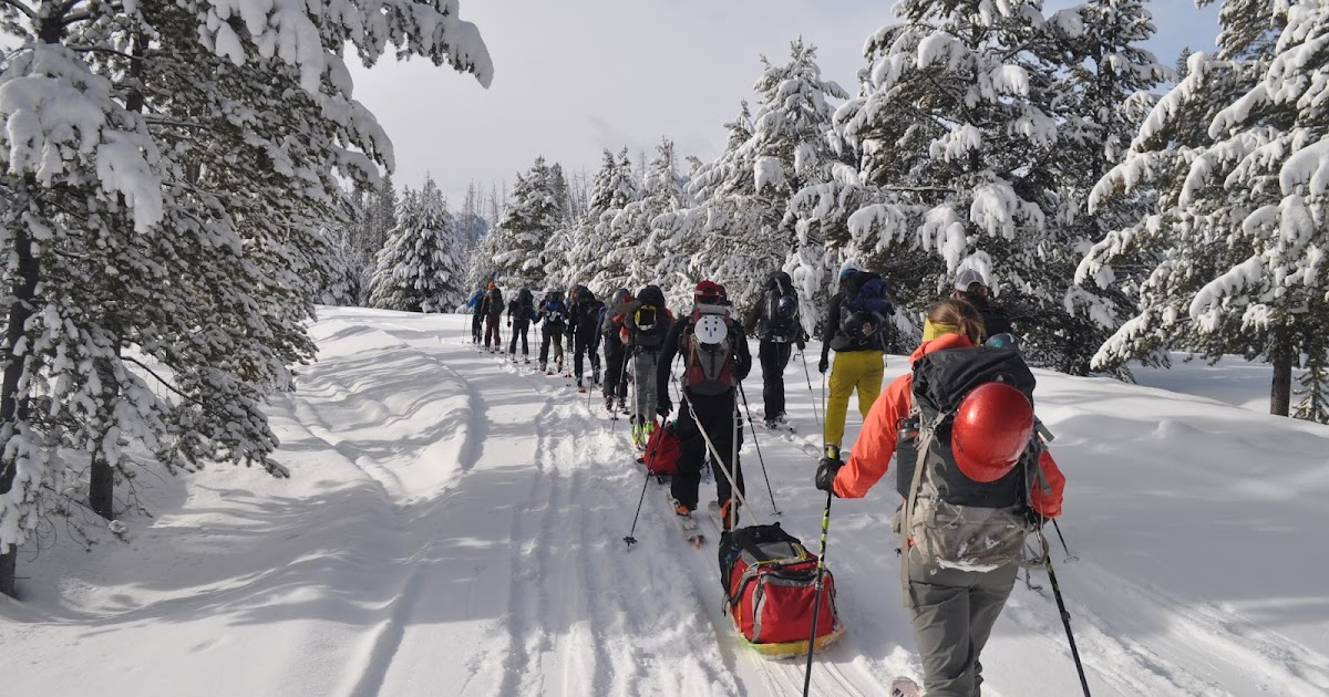 the plural of danish Fishhook Yurt 2016
