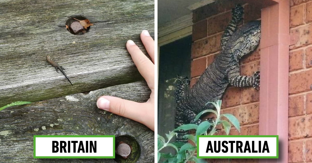 26 Shocking Photos Depict Hilarious Differences Between Britain And Australia