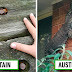26 Shocking Photos Depict Hilarious Differences Between Britain And Australia