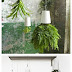 Perfect Gardening Design Idea "Upside Down Planter