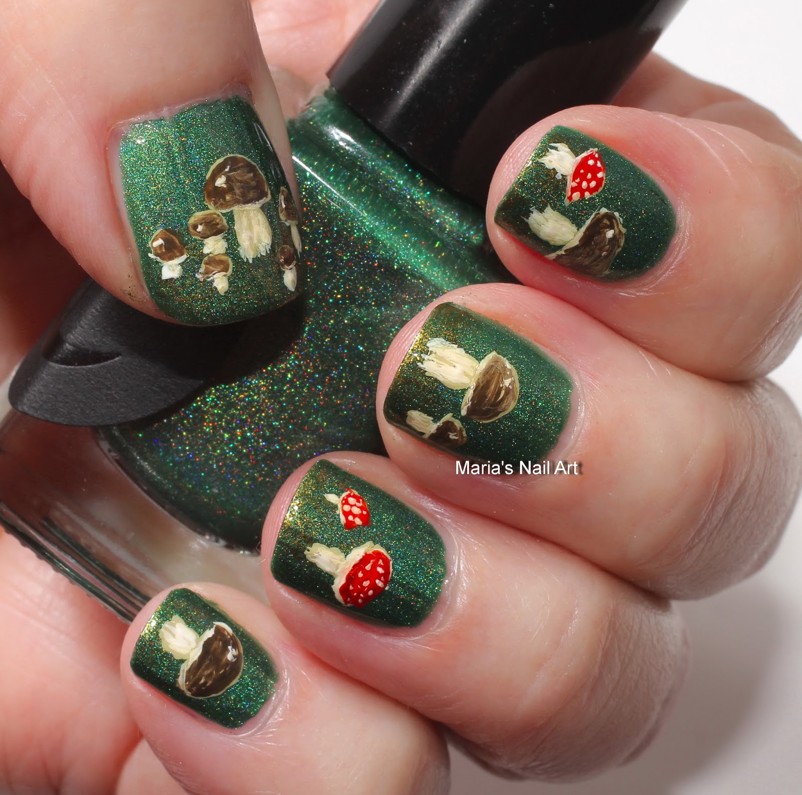 Marias Nail Art and Polish Blog: Mushrooms for Lonesome George
