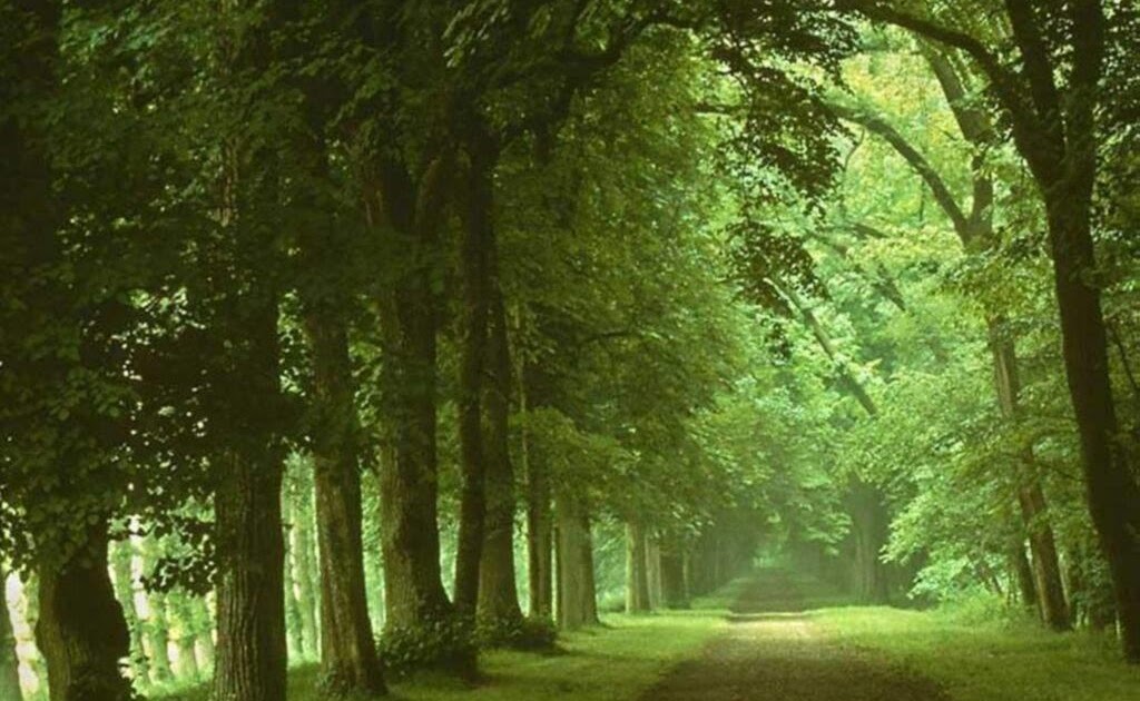  Voyage-nat: La nature