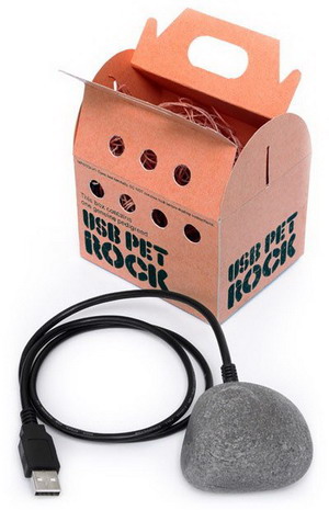 The Sad Lesson of the "Pet Rock" | Brandwashed