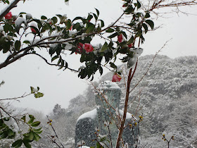 雪の鎌倉大仏（高徳院）