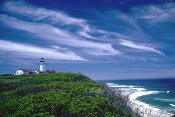 Cape Cod Car Accident July Cape Cod Car Accident July