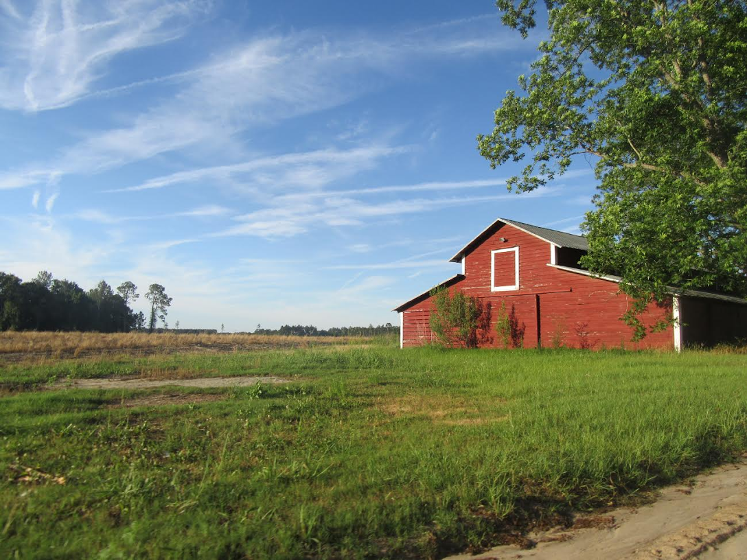 Mitchell Hill's Mission Blog May 29, 2017 Alma, GA