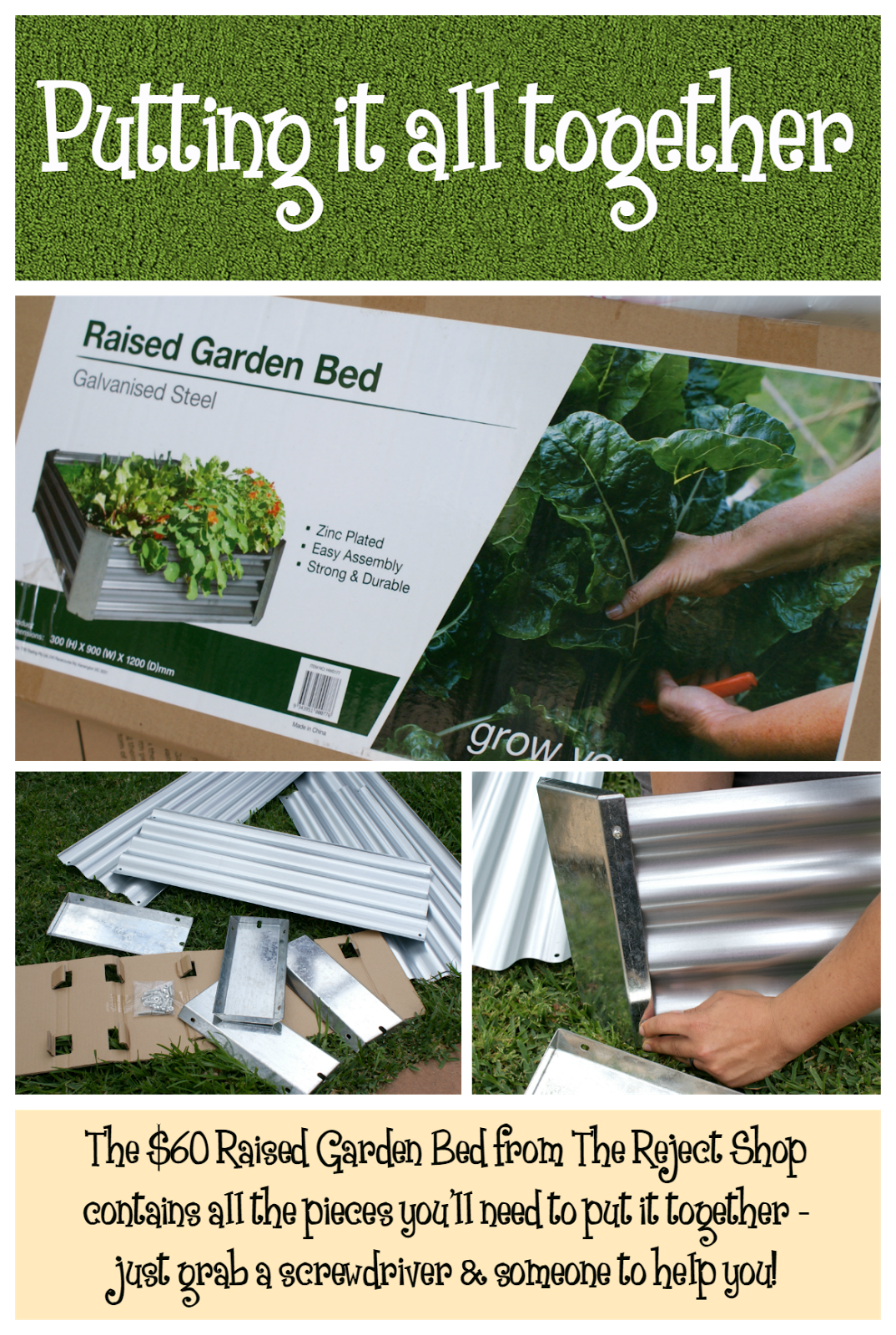 How to Make Your Own Raised Veggie Patch and Grow Your Own Vegetables from Seed - Reject Shop Raised Garden Bed