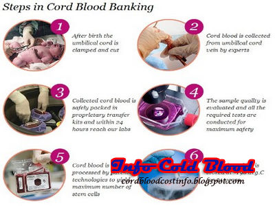 Info Cord Blood: Why Bank Cord Blood | The Best Info All ...