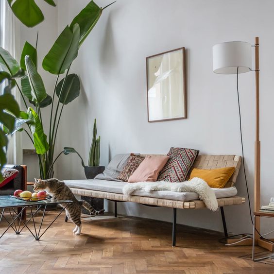 Amazing cats and their boho-tastic homes - cat 2 www.BoHoHome.com @bohosusan