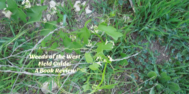 Weeds of the West: A Field Guide Review