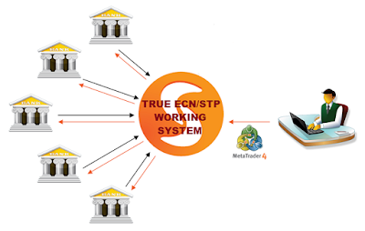 Forex Platform