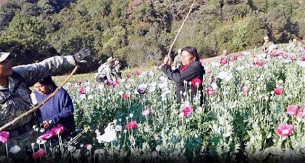 AGARRAN A “PALOS” AL EJERCITO EN EL MUNICIPIO MÁS POBRE DEL PAÍS POR PLANTIO DE AMAPOLA AGARRAN A “PALOS” AL EJERCITO EN EL MUNICIPIO MÁS POBRE DEL PAÍS POR PLANTIO DE AMAPOLA