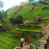 Batu Flower Garden, Objek Wisata Spot Foto Yang Unik Dan Menarik Bagi Wisatawan