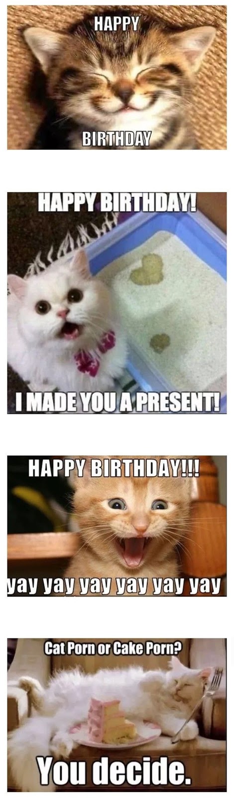 160+ Funny Happy Birthday Girl Meme (2019) Fat, Hey, Teenage ...