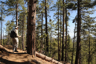 Arizona Hiking: Hike with bikes on Prescott's Circle Trail