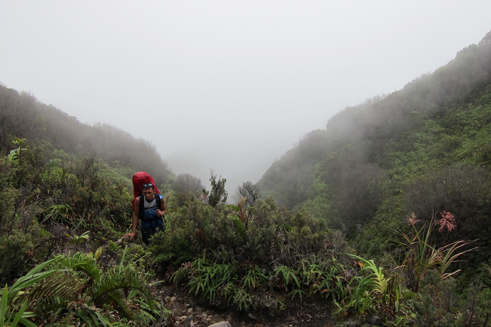 travel. eat. write Mt. Apo and My Breathtaking Ascent Close to the Heavens