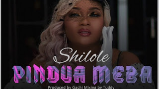 AUDIO: Shilole – PINDUA MEZA Mp3 DOWNLOAD
