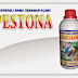 PESTONA NASA PESTONA NASA