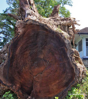 eks rumah tuan kuase belitung
