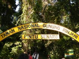 Taman Nasional Gunung Rinjani, Lombok - Bali Backpacker