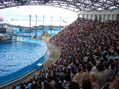 遠雄海洋公園|花蓮壽豐親子遊樂園