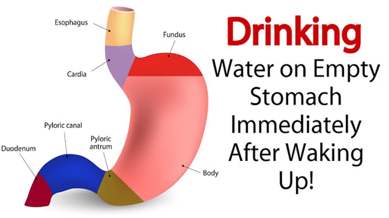 Drinking Water In The Morning On An Empty Stomach Is A Natural Medicine