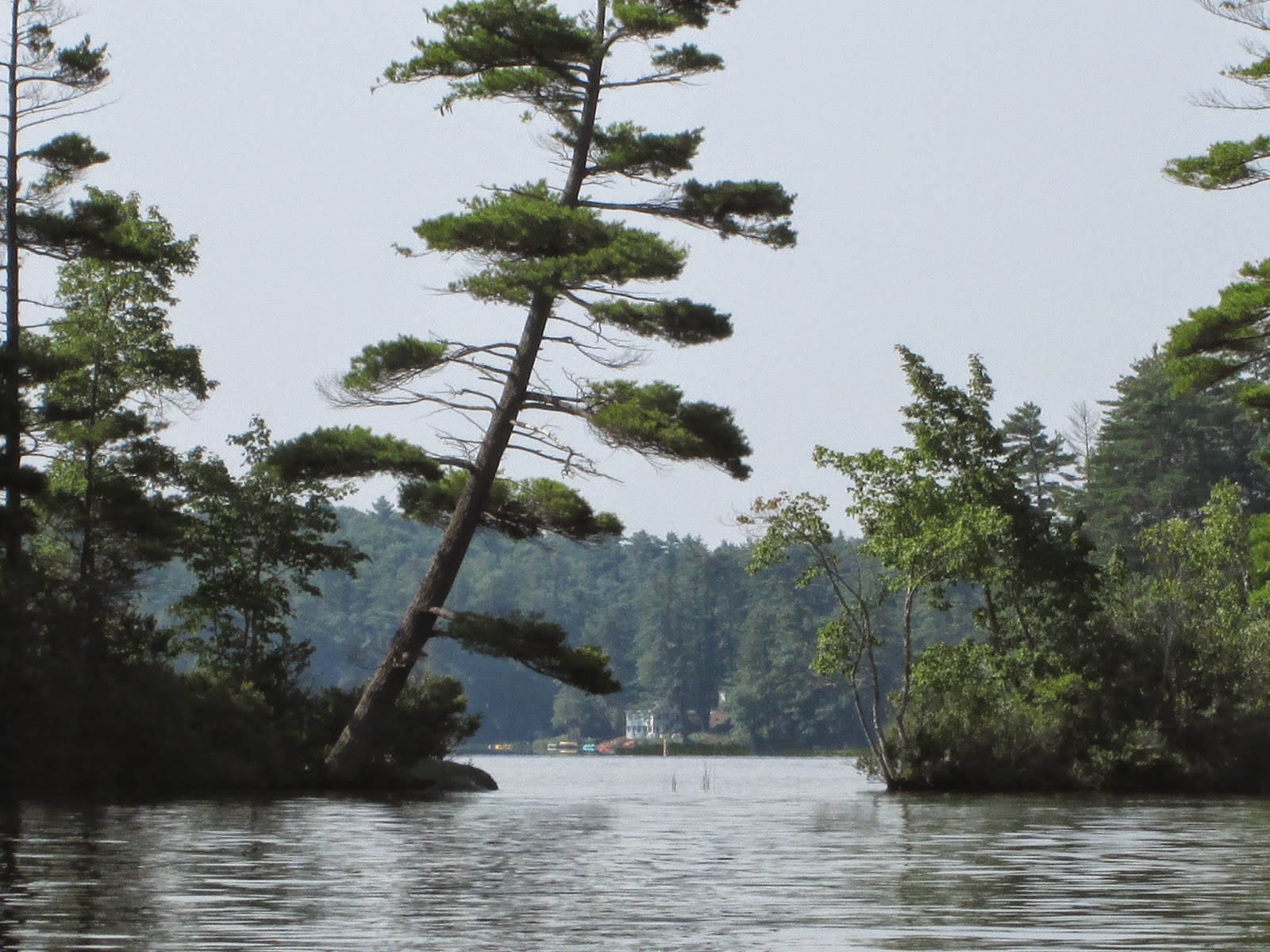 Kayaking MidCoast Maine and MORE Kayak Review for Lower Damariscotta Lake