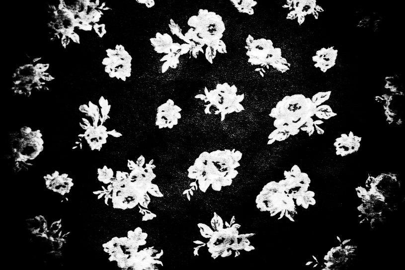 spring/fall project30
