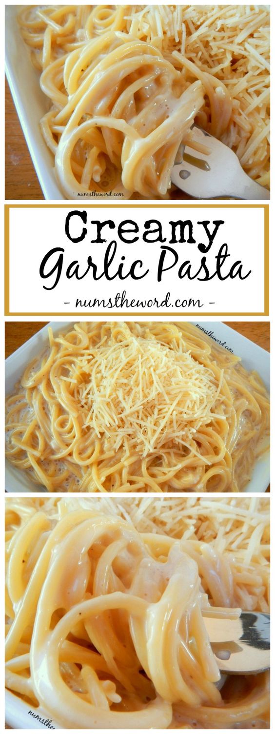 Creamy Garlic Pasta #creamy #garlic #pasta #pastarecipes #easypastarecipes Creamy Garlic Pasta #creamy #garlic #pasta #pastarecipes #easypastarecipes