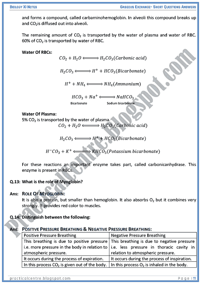 gaseous-exchange-short-questions-answers-biology-xi