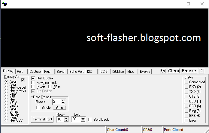Software flashing. Software flashing