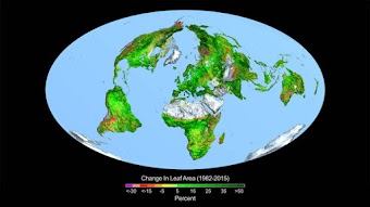 Finalmente a NASA declara  algo que é verdadeiro - dióxido de Carbono é o verde da Terra!