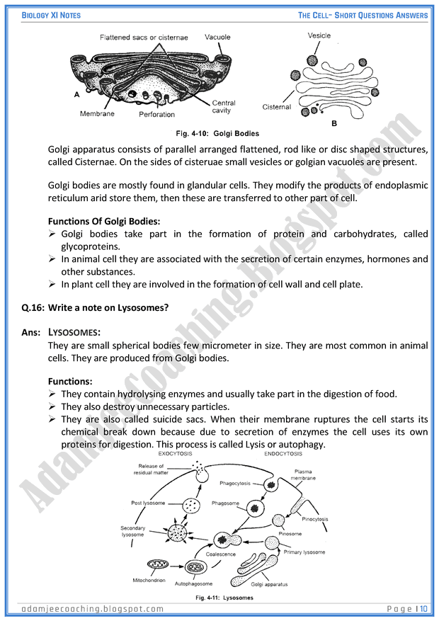 the-cell-short-question-answers-biology-11th